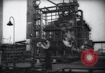 Standbild Pflanzen California United States USA, 1944, aus Sekunde 48 historischem Filmmaterial Videoclip 65675074445