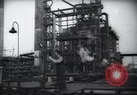 Standbild Pflanzen California United States USA, 1944, aus Sekunde 49 historischem Filmmaterial Videoclip 65675074445