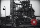 Standbild Pflanzen California United States USA, 1944, aus Sekunde 50 historischem Filmmaterial Videoclip 65675074445