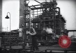 Standbild Pflanzen California United States USA, 1944, aus Sekunde 51 historischem Filmmaterial Videoclip 65675074445