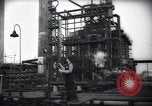 Standbild Pflanzen California United States USA, 1944, aus Sekunde 52 historischem Filmmaterial Videoclip 65675074445