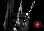 Standbild Chorus Line New York City USA, 1936, aus Sekunde 20 historischem Filmmaterial Videoclip 65675074454