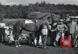 Immagine di Jesse Owens Cuba, 1937, secondo 6 filmato di repertorio 65675074455