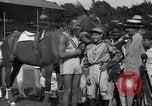 Immagine di Jesse Owens Cuba, 1937, secondo 29 filmato di repertorio 65675074455