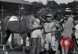 Immagine di Jesse Owens Cuba, 1937, secondo 30 filmato di repertorio 65675074455