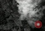 Standbild B-24 Liberator Bomber Mindanao Philippinen, 1945, aus Sekunde 35 historischem Filmmaterial Videoclip 65675074516