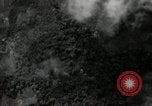 Standbild B-24 Liberator Bomber Mindanao Philippinen, 1945, aus Sekunde 57 historischem Filmmaterial Videoclip 65675074516