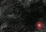 Standbild B-24 Liberator Bomber Mindanao Philippinen, 1945, aus Sekunde 59 historischem Filmmaterial Videoclip 65675074516