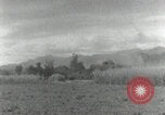 Image of Japanese soldiers Philippines, 1942, second 32 stock footage video 65675074521