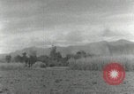 Image of Japanese soldiers Philippines, 1942, second 33 stock footage video 65675074521