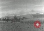 Image of Japanese soldiers Philippines, 1942, second 34 stock footage video 65675074521