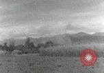 Image of Japanese soldiers Philippines, 1942, second 35 stock footage video 65675074521