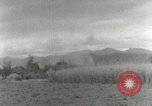 Image of Japanese soldiers Philippines, 1942, second 36 stock footage video 65675074521