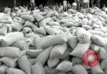 Image of Japanese soldiers Philippines, 1942, second 14 stock footage video 65675074522