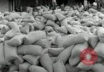 Image of Japanese soldiers Philippines, 1942, second 15 stock footage video 65675074522