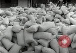 Image of Japanese soldiers Philippines, 1942, second 16 stock footage video 65675074522