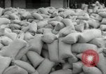 Image of Japanese soldiers Philippines, 1942, second 17 stock footage video 65675074522