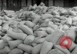 Image of Japanese soldiers Philippines, 1942, second 19 stock footage video 65675074522