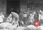 Image of Japanese soldiers Philippines, 1942, second 20 stock footage video 65675074522
