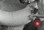 Image of Japanese soldiers Philippines, 1942, second 25 stock footage video 65675074522