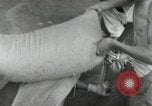 Image of Japanese soldiers Philippines, 1942, second 26 stock footage video 65675074522