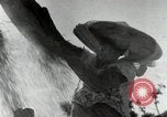 Image of Japanese soldiers Philippines, 1942, second 43 stock footage video 65675074522