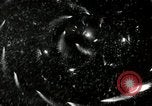 Image of Fireworks at Harvard tercentenary Cambridge Massachusetts USA, 1936, second 21 stock footage video 65675074544