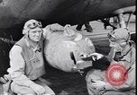 Image of Ensign George Gay Pacific Ocean, 1942, second 32 stock footage video 65675074566