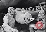 Image of Ensign George Gay Pacific Ocean, 1942, second 33 stock footage video 65675074566