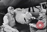 Image of Ensign George Gay Pacific Ocean, 1942, second 36 stock footage video 65675074566