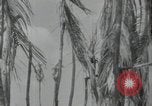 Immagine di Generali giapponese Indocina, 1941, secondo 31 filmato di repertorio 65675074577