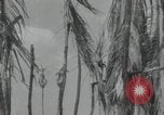 Immagine di Generali giapponese Indocina, 1941, secondo 32 filmato di repertorio 65675074577