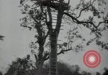 Immagine di Generali giapponese Indocina, 1941, secondo 43 filmato di repertorio 65675074577