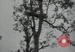 Immagine di Generali giapponese Indocina, 1941, secondo 44 filmato di repertorio 65675074577