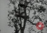 Immagine di Generali giapponese Indocina, 1941, secondo 45 filmato di repertorio 65675074577