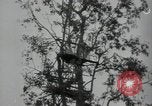 Immagine di Generali giapponese Indocina, 1941, secondo 47 filmato di repertorio 65675074577