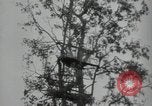 Immagine di Generali giapponese Indocina, 1941, secondo 48 filmato di repertorio 65675074577