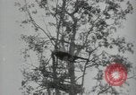 Immagine di Generali giapponese Indocina, 1941, secondo 49 filmato di repertorio 65675074577