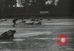 Image of Japanese troops Japan, 1941, second 61 stock footage video 65675074579