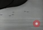 Standbild B-24 Liberator Bomber Vila Salomonen, 1943, aus Sekunde 11 historischem Filmmaterial Videoclip 65675074591