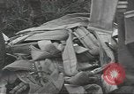 Standbild Unternehmen einen Soldaten Torquay England, 1944, aus Sekunde 59 historischem Filmmaterial Videoclip 65675074617