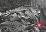 Standbild Unternehmen einen Soldaten Torquay England, 1944, aus Sekunde 60 historischem Filmmaterial Videoclip 65675074617