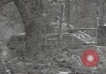 Image of United States tanks Weymouth England United Kingdom, 1944, second 41 stock footage video 65675074623