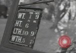 Image of United States tanks Weymouth England United Kingdom, 1944, second 56 stock footage video 65675074623