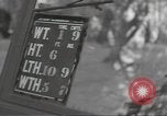 Image of United States tanks Weymouth England United Kingdom, 1944, second 58 stock footage video 65675074623