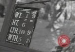 Image of United States tanks Weymouth England United Kingdom, 1944, second 59 stock footage video 65675074623