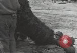 Immagine di Soldati statunitensi Weymouth Inghilterra, 1944, secondo 54 filmato di repertorio 65675074624