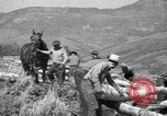 Image of Civilian Conservation Corps United States USA, 1936, second 29 stock footage video 65675074626