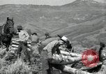 Image of Civilian Conservation Corps United States USA, 1936, second 30 stock footage video 65675074626