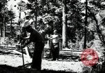 Image of Civilian Conservation Corps United States USA, 1936, second 34 stock footage video 65675074626